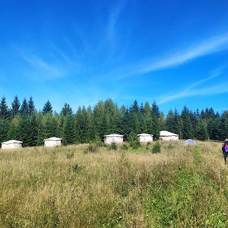 Eco Glamping - Carpathians. Retreat Hub Dzin Space Verkhovyna Dış mekan fotoğraf