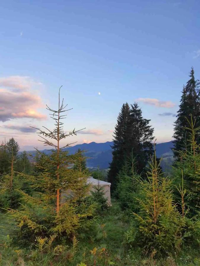 Eco Glamping - Carpathians. Retreat Hub Dzin Space Verkhovyna Dış mekan fotoğraf