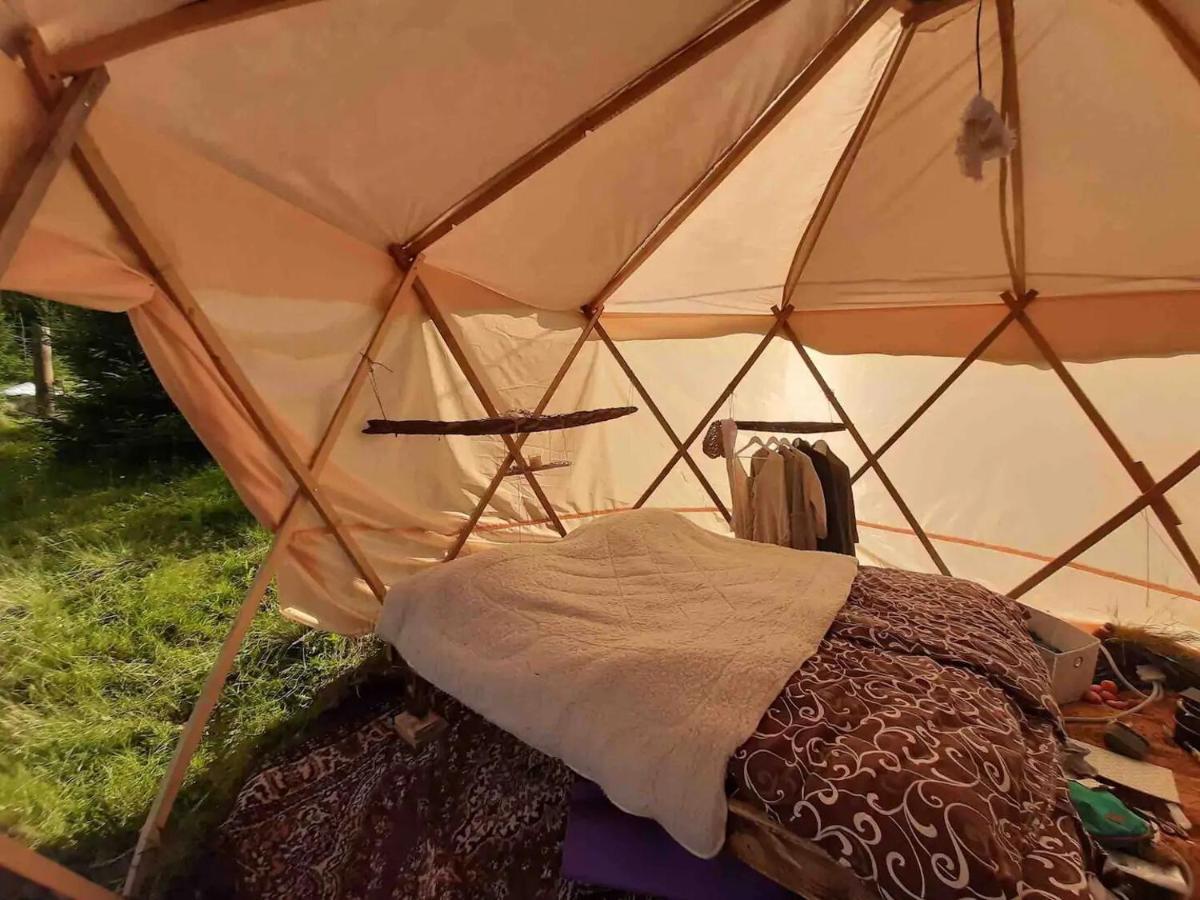Eco Glamping - Carpathians. Retreat Hub Dzin Space Verkhovyna Dış mekan fotoğraf
