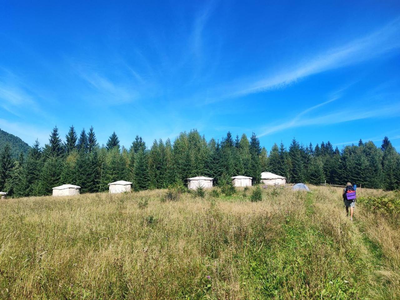Eco Glamping - Carpathians. Retreat Hub Dzin Space Verkhovyna Dış mekan fotoğraf
